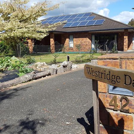 Ferienwohnung Westridge Dales Tauranga Exterior foto